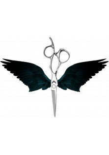 Професійні ножиці для стрижки Cutting Scissors 6.0 за ціною 9700₴  у категорії Італійська косметика Серiя Premium Collection