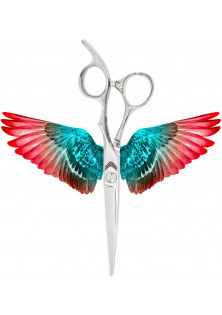 Професійні ножиці для стрижки Cutting Scissors 6.0 за ціною 8000₴  у категорії Інструменти для перукарів Бренд Aquila Scissors