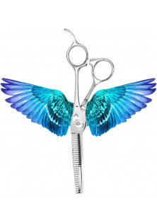 Купити Aquila Scissors Професійні філіровочні ножиці для стрижки Thinning Scissors 6.0 Silver Swan вигідна ціна