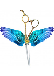 Купити Aquila Scissors Професійні ножиці для стрижки Cutting Scissors 6.5 Oriental вигідна ціна