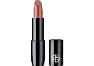 Живильна помада для губ Perfect Color Lipstick №49 Red-Brown за ціною 0₴  у категорії Переглянуті товари