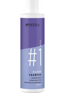 Шампунь для фарбованого волосся зі сріблястим ефектом Silver Shampoo №1 за ціною 433₴  у категорії Німецька косметика