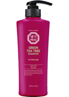 Зелений шампунь з екстрактом чайного дерева для жирної шкіри голови Green Tea Tree Shampoo