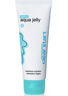 Охолоджуючий крем для зволоження жирної шкіри Cooling Aqua Jelly за ціною 1260₴  у категорії Американська косметика Бренд Dermalogica