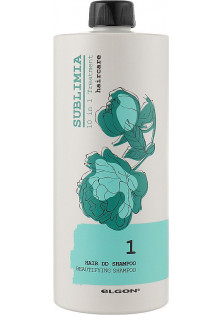 Поживний шампунь для волосся 10 в 1 Hair DD Shampoo за ціною 542₴  у категорії Італійська косметика Серiя Sublimia