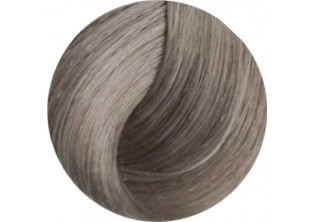 Крем-фарба для волосся Professional Hair Colouring Cream №10/1 Blonde Platinum Ash за ціною 141₴  у категорії Переглянуті товари