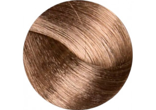 Крем-фарба для волосся Professional Hair Colouring Cream №10/13 Blonde Platinum Biege за ціною 141₴  у категорії Переглянуті товари
