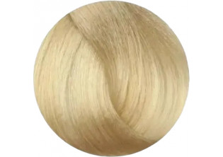 Крем-фарба для волосся Professional Hair Colouring Cream №11/0 Superlight Blonde Platinum за ціною 141₴  у категорії Переглянуті товари