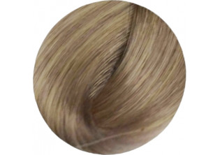 Крем-фарба для волосся Professional Hair Colouring Cream №12/13 Superlight Blonde Platinum Biege Extra за ціною 141₴  у категорії Переглянуті товари
