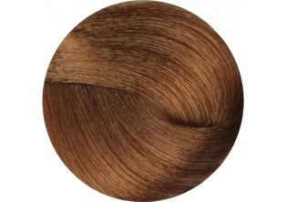 Крем-фарба для волосся Professional Hair Colouring Cream №8/13 Light Blonde Beige за ціною 141₴  у категорії Переглянуті товари