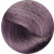 Крем-краска для волос Professional Hair Colouring Cream №8/2F Light Blonde Fanttasy Violet