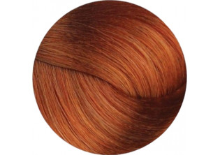 Крем-фарба для волосся Professional Hair Colouring Cream №8/43 Light Copper Golden Blonde за ціною 141₴  у категорії Переглянуті товари