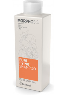 Шампунь проти лупи Morphosis Purifying Shampoo
