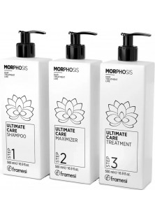 Набір салонний догляд Morphosis Ultimate Care Maximizer за ціною 2115₴  у категорії Косметика для волосся Тип волосся Фарбоване