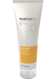 Відновлюючий кондиціонер для волосся Morphosis Repair Conditioner за ціною 962₴  у категорії Кондиціонери для волосся