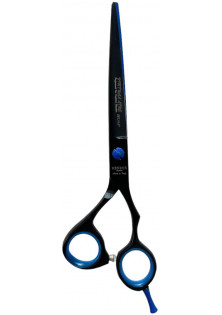 Професійні ножиці для волосся Professional Scissors Inox 6 Black + Blue за ціною 2850₴  у категорії Італійська косметика Об `єм 1 шт