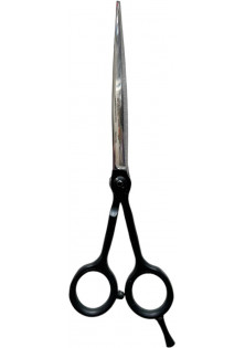 Купити Henbor Професійні ножиці для волосся Professional Scissors Inox 6.5 R L Metallic вигідна ціна