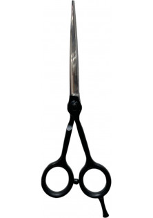 Купити Henbor Професійні ножиці для волосся Professional Scissors Inox 6 R L Metallic вигідна ціна