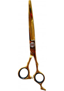 Професійні ножиці для волосся Professional Scissors Inox 6 Gold за ціною 3200₴  у категорії Італійська косметика Об `єм 1 шт