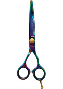Професійні ножиці для волосся Professional Scissors Inox 6 Chameleon за ціною 2950₴  у категорії Ножиці для волосся Класифікація Професійна