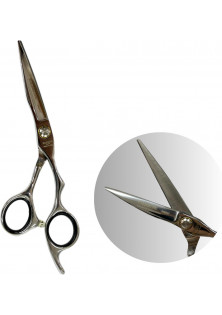 Професійні ножиці для волосся з футляром Professional Scissors Inox 5.5 за ціною 3600₴  у категорії Італійська косметика Тип Ножиці для стрижки