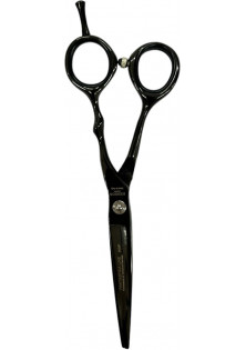Професійні ножиці для волосся з оксамитовим футляром Professional Scissors Inox 6 Black за ціною 4200₴  у категорії Ножиці для волосся Рівне