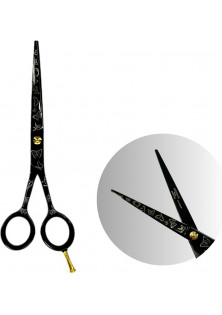 Ножиці для волосся Professional Scissors 6.0 за ціною 2199₴  у категорії Ножиці для волосся Класифікація Професійна