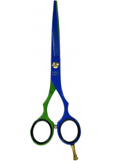 Професійні ножиці для волосся Professional Scissors 6 Blue & Green за ціною 2100₴  у категорії Італійська косметика Бренд Henbor