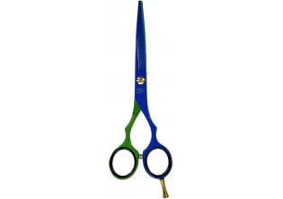 Професійні ножиці для волосся Professional Scissors 6 Blue & Green за ціною 2100₴  у категорії Переглянуті товари