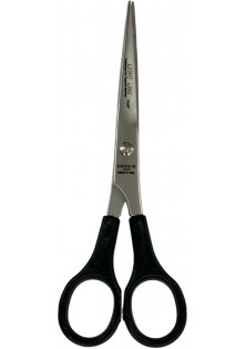 Професійні ножиці для волосся з ручкою Professional Scissors Inox 6 750/6 за ціною 499₴  у категорії Італійська косметика Об `єм 1 шт