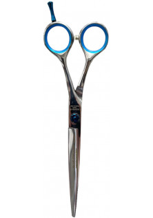 Професійні ножиці для волосся з футляром Professional Scissors Inox 6.5 за ціною 3600₴  у категорії Ножиці для волосся Класифікація Професійна