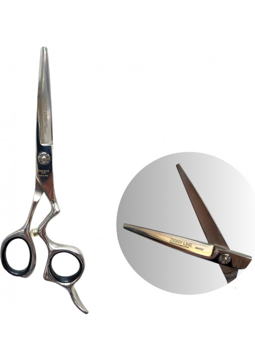 Професійні ножиці для волосся з футляром Professional Scissors Inox 5.5 - фото 1