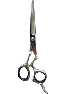 Купити Henbor Професійні ножиці для волосся з футляром Professional Scissors Inox 6 вигідна ціна