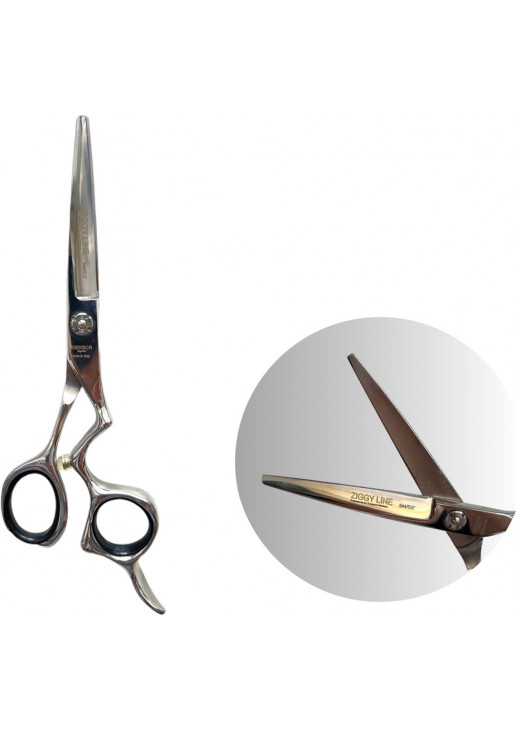 Професійні ножиці для волосся з футляром Professional Scissors Inox 6 - фото 2