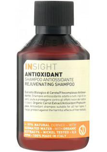 Тонизирующий шампунь Antioxidant Rejuvenating Mask для всех типов волос по цене 178₴  в категории INSIGHT Тип кожи головы Все типы кожи