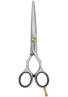 Прямые ножницы для стрижки Hairdressing Scissors Ergo 5,0 в Украине