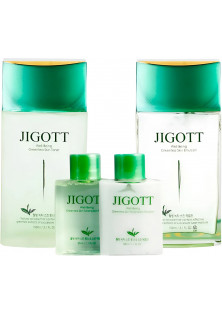 Купити JIGOTT Чоловічий набір для обличчя Well-Being Green Tea Homme Skin Care 2 Set з екстрактом зеленого чаю вигідна ціна