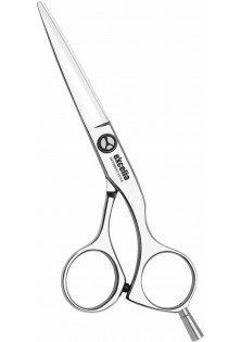 Парикмахерские ножницы Excelia Super Offset 5,5 EC-55 OS по цене 6164₴  в категории Ножницы для волос Днепр
