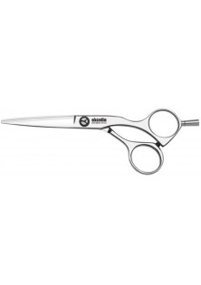 Перукарські ножиці Excelia Super Offset 6,0 EC-60 OS за ціною 6164₴  у категорії Ножиці для волосся Класифікація Професійна