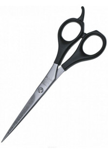 Ножиці для стрижки Professional за ціною 495₴  у категорії Ножиці для волосся Запоріжжя