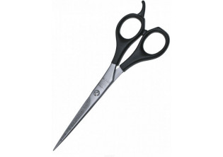 Ножницы для стрижки Professional по цене 495₴  в категории Просмотренные товары