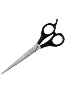 Ножиці для стрижки Professional за ціною 505₴  у категорії Ножиці для волосся Дніпро