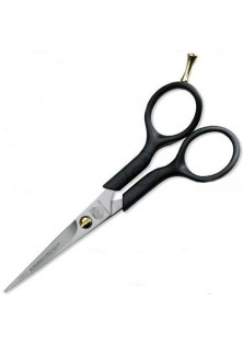 Ножиці для стрижки Ergonomix Professional за ціною 465₴  у категорії Інструменти для перукарів