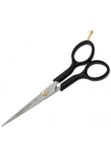 Ножиці для стрижки Ergonomix Professional за ціною 530₴  у категорії Ножиці для волосся Класифікація Професійна
