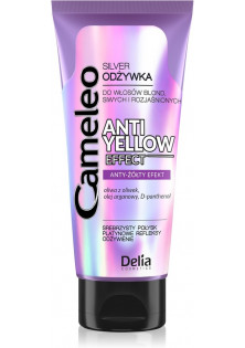 Кондиціонер для волосся Silver Conditioner Anti-Yellow Effect за ціною 0₴  у категорії Польська косметика Бренд Delia