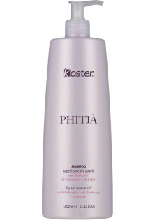Купить Koster Шампунь для восстановления сухих и тусклых волос Shampoo With Calendula And Blueberry Extracts выгодная цена