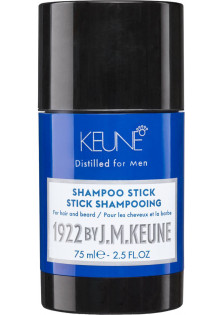 Сухой шампунь Shampoo Stick по цене 1110₴  в категории Мужская косметика для волос Львов