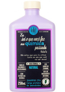 Шампунь для волосся Eu Sei O Que Você Fez Na Química Shampoo за ціною 590₴  у категорії Шампуні Рівне