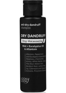 Шампунь проти лупи Anti-Dry Dandruff Shampoo за ціною 220₴  у категорії Українська косметика Тип шкіри голови Усі типи шкіри