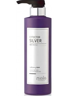Шампунь для збереження кольору Effector Silver Shampoo за ціною 724₴  у категорії Корейська косметика Тип Шампунь